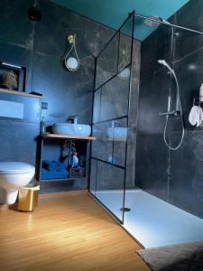 a bathroom with a shower and a toilet at La Suite Spa privatif Le Revella in Profondeville +4 photos