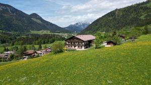 una casa su una collina con un campo di fiori di Appartements Grünholz a Itter