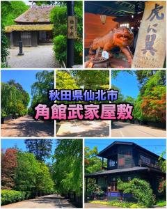 大仙市Hotel DOLPHIA-Adult Only的建筑物图片的拼贴,上面写着
