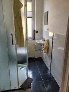 a small bathroom with a shower and a sink at Lous Ferienhaus 4 in Thale