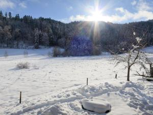 Un campo cubierto de nieve con el sol al fondo en Holiday Home Bistenhof by Interhome, en Hinterzarten