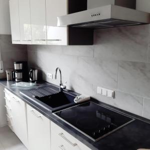 a kitchen with a sink and a counter top at Wiedhöhen Ferienwohnung in Roßbach