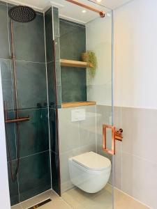 a bathroom with a toilet and a glass shower at By Mosk in Engelum