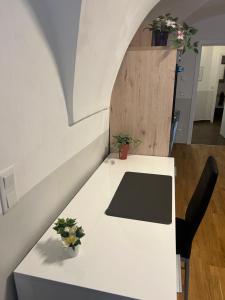 莱塔河畔布鲁克Paky Appartements 00314的上面有两株植物的白色桌子 更多4张照片