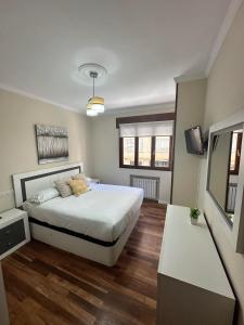 ein Schlafzimmer mit einem großen Bett und einem Fernseher in der Unterkunft Alojamiento en el corazón de Monforte de Lemos en Ribeira Sacra in Monforte de Lemos + 5 Fotos