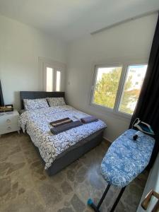 a bedroom with a bed and a chair and two windows at Nıcosıa lefkosa brand new renovated 1 bedroom 3A in Yenişehir