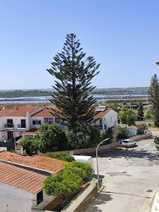 vista su un parcheggio con pino di Monte Gordo T1 - Estrela do Mar a Monte Gordo Altre 6 foto