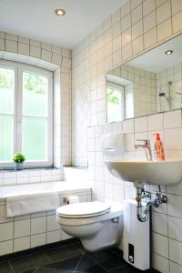 a bathroom with a toilet and a sink and a mirror at Stilvolles Apartment in stadtnähe-Parkplatz- 4 Personen- Balkon in Wolfsburg