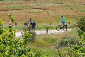 dos personas montando bicicletas en un camino de tierra en Welcome in - Vakantiewoning - Horizon 14 - Renesse, en Renesse