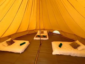 a tent with three beds in it with at Buzzard Holt Hosting in Buckingham
