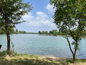 a view of a lake from between two trees at Camping Oaza in Bela Crkva