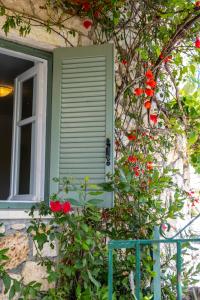 Zahrada ubytování Kerkis Traditional Guesthouse