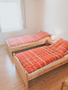 two beds sitting in a room with a window at Ferienwohnung Nr 4 in Hinrichsdorf +7 photos