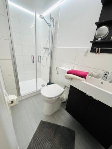 a bathroom with a toilet and a shower and a sink at Ferienhof Meetz - Lütt Stuv in Hinrichsdorf +2 photos