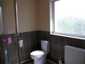 een badkamer met een toilet en een raam bij Clonmacnoise B&B in Clonmacnoise