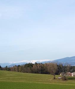 Paesaggio naturale nelle vicinanze dell'appartamento