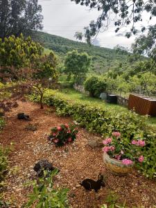 A garden outside Agriturismo La Provenca