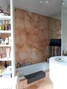 a bathroom with a bath tub and a wooden wall at Appartement charmant avec vue sur Tour Eiffel - Paris - 60 m² in Paris