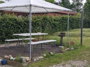 a picnic table with an umbrella in a garden at Stella Baltica in Kraksdorf