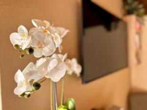 Fotografie z fotogalerie ubytování CASA GIO.ANNA v destinaci Mergozzo