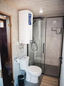 un piccolo bagno con wc e doccia di Paluküla tiny house Kuuse a Paluküla