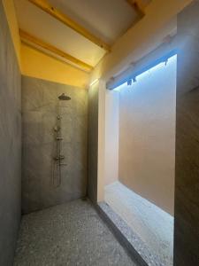 uma casa de banho com um chuveiro e uma porta de vidro em Blue Coral Thoddoo em Thoddoo