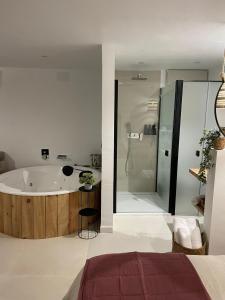 a bathroom with a tub and a shower at Suite trufa - benamahoma in Benamahoma