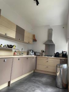 Kuchyňa alebo kuchynka v ubytovaní Grande maison hyper centre
