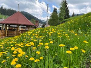 a field of yellow flowers in front of a gazebo at Casa Aurelia in Moldoviţa