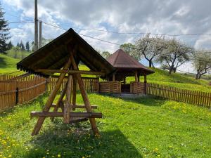a small wooden pavilion with a building in a field at Casa Aurelia in Moldoviţa +7 photos