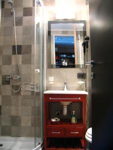 a bathroom with a shower and a sink and a toilet at Bariloche Home Suites in San Carlos de Bariloche