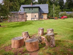 a group of tree stumps in a field with a house at Chalet Bolkov by Interhome in Bolkov