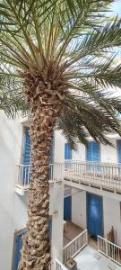 Balkón nebo terasa v ubytování Chic Surf-Inspired Mezzanine Studio "Coco Palm"