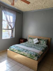 a bedroom with a bed in a room with a window at Mabhida Guesthouse in Durban