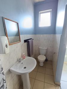 Mabhida Guesthouse في ديربان: حمام مع حوض ومرحاض ومرآة