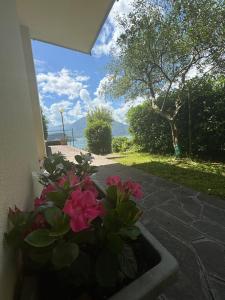 Zahrada ubytování Ortensia Lake Como - perfect for couple and pets
