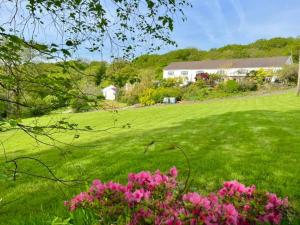 a field of green grass with pink flowers at Cwmbach Guest House in Neath