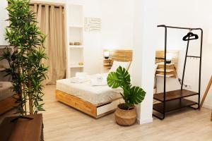 马德里Bravo Murillo Apartment的一间有床的房间,里面装有两株植物