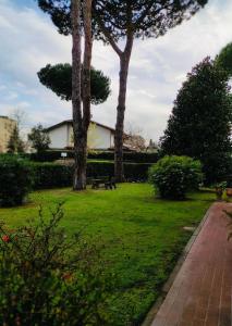 Zahrada ubytování 7lecci beach house