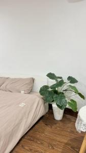 Voodi või voodid majutusasutuse Bom's House toas