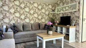 a living room with a couch and a tv at Naujos statybos namelis in Palanga
