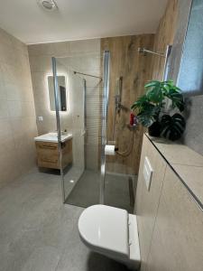 Koupelna v ubytování ApartmányVrbno Relax