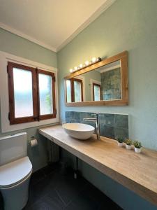 a bathroom with a sink and a toilet and a mirror at La Torre de la Vall de Camprodon in Llanars +15 photos