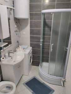 ein Badezimmer mit Dusche, Toilette und Waschbecken in der Unterkunft Apartman Central in Doboj
