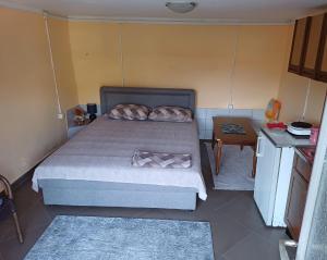a small bedroom with a bed and a table at Apartman Pavle Virpazar in Virpazar