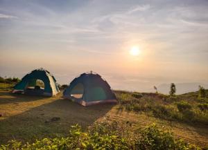 Příroda nedaleko luxury tent