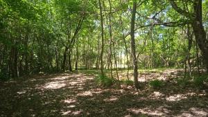 Billede fra billedgalleriet på La Pennica B&B i Pontremoli