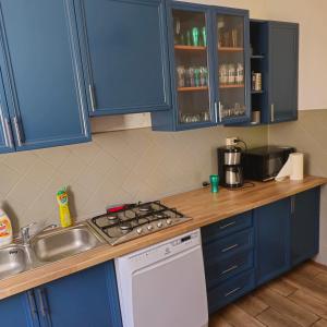 a kitchen with blue cabinets and a stove top oven at Vila Luca's in Cârțișoara +19 photos