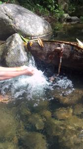 a person is in the water near some rocks at My Zayanda in Les Abymes