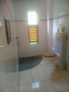 a bathroom with a toilet and a window at My Zayanda in Les Abymes